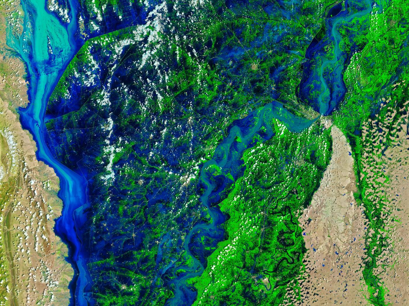 False-colour satellite view of the flooded Indus river system in Pakistan, August 2022.